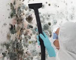 Best Asbestos and Lead Testing During Mold Inspection  in Barron, WI